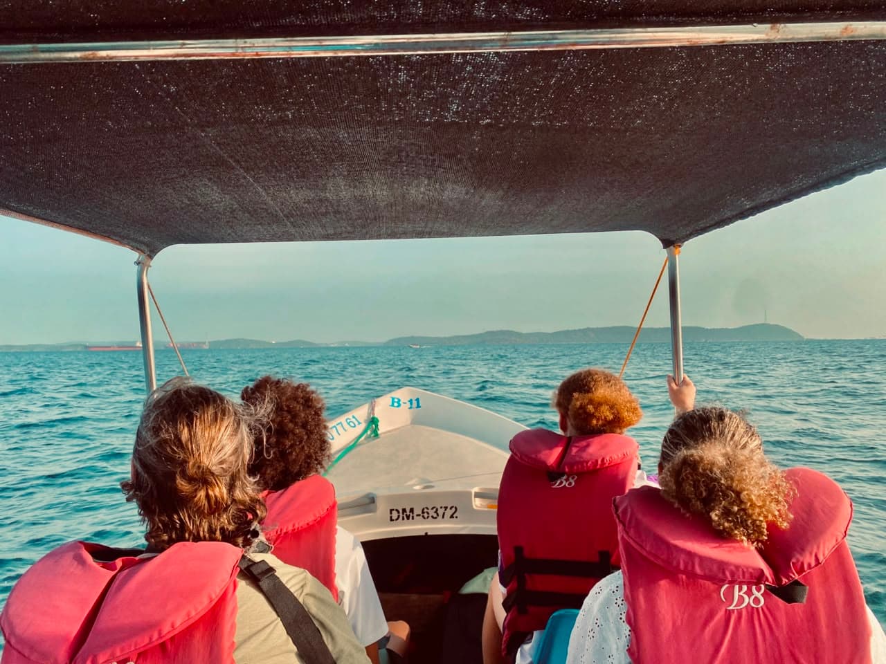 Dolphin Encounter