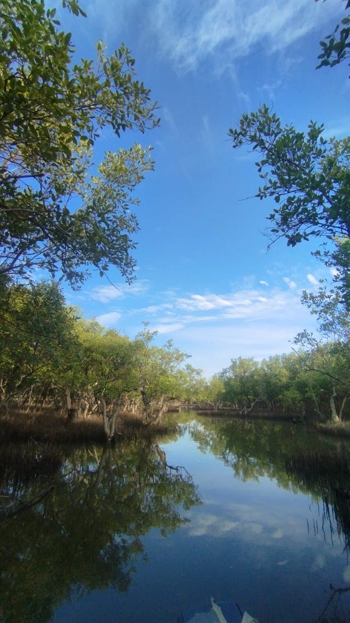 Lagoon Trip